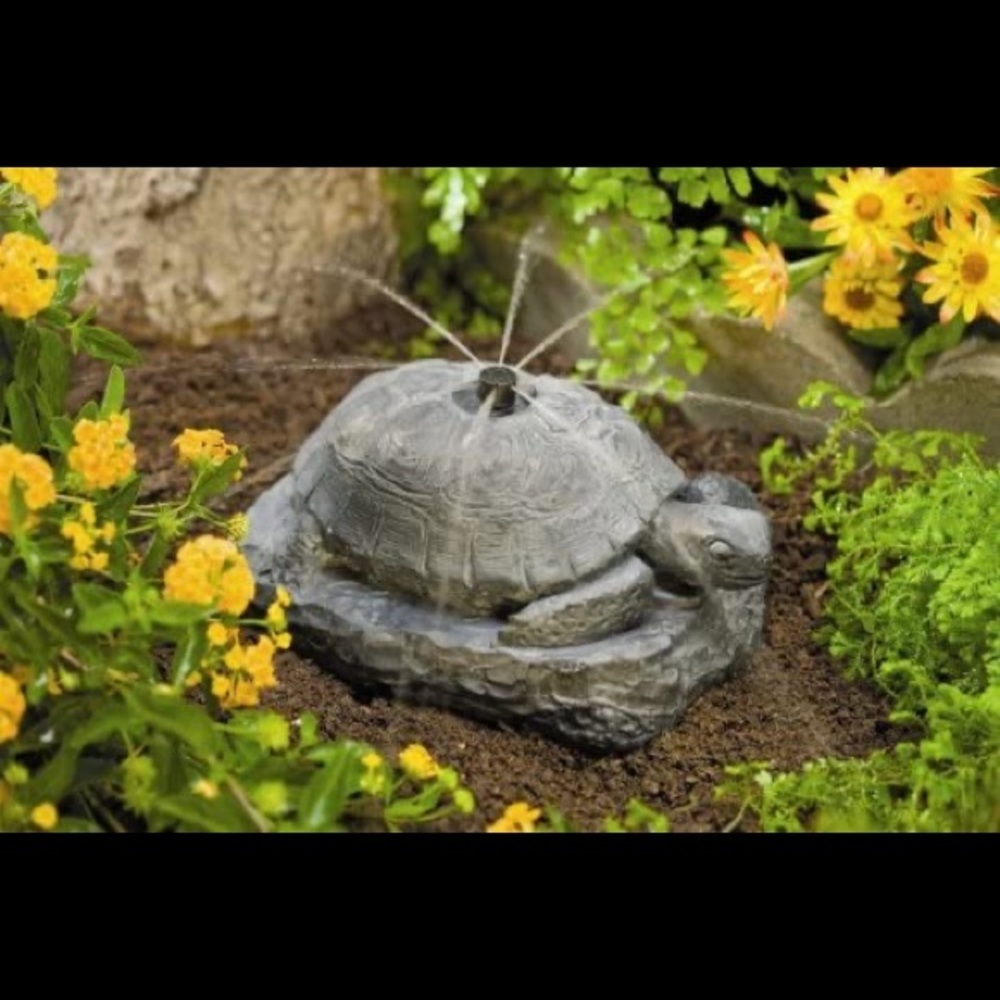 Turtle Sprinkler